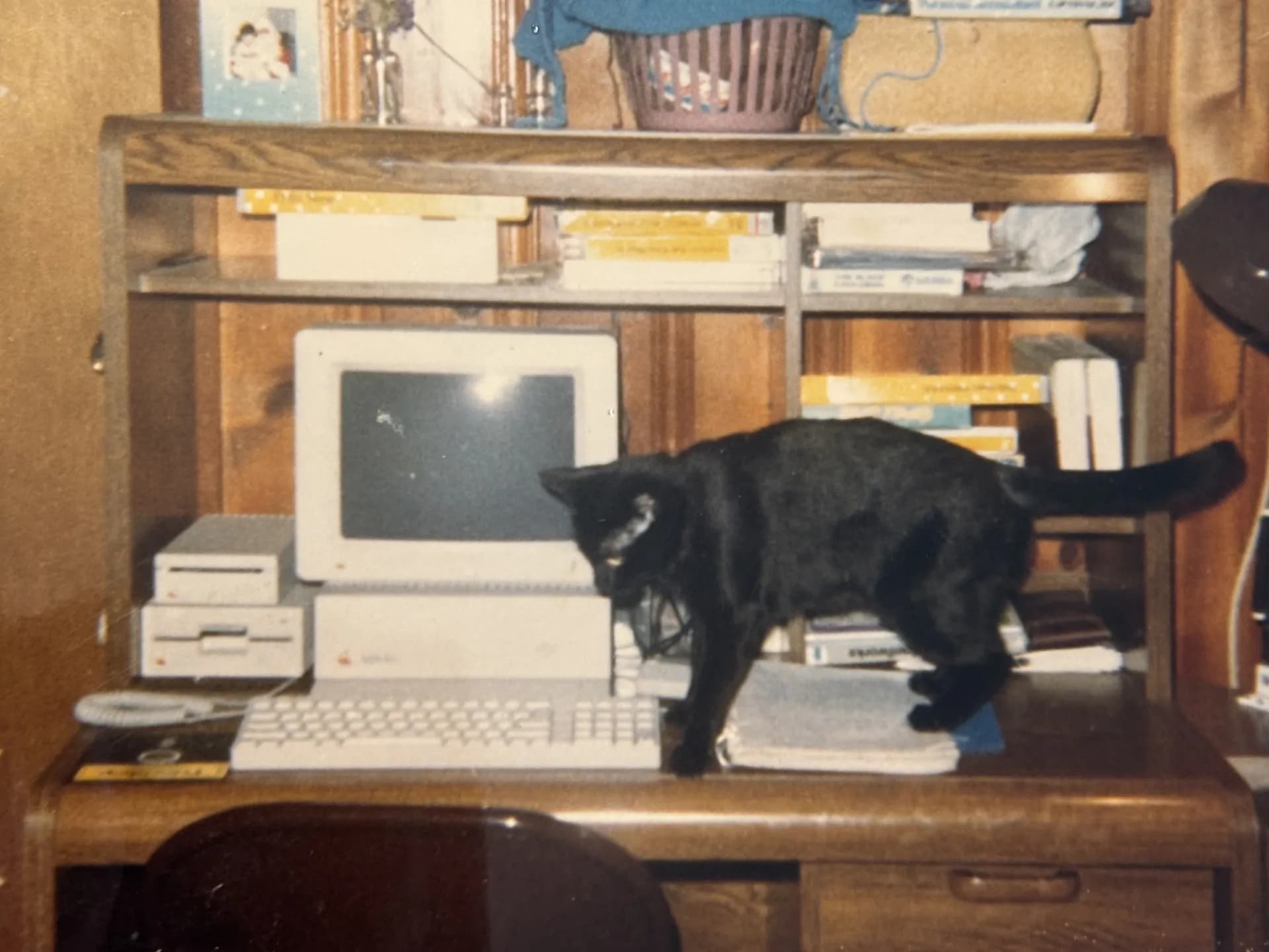 My first computer, an Apple IIGS and our family cat, Peanuts